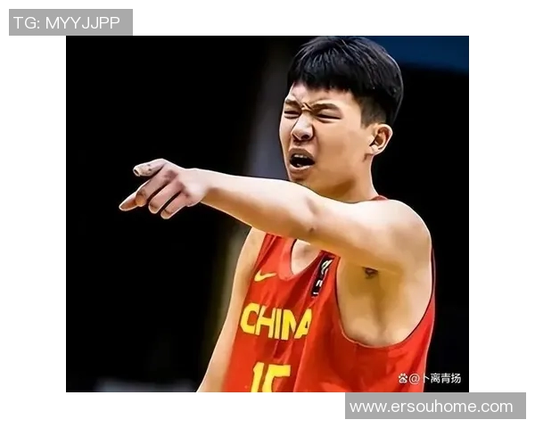 杨瀚森4字总结 NBA半程表现